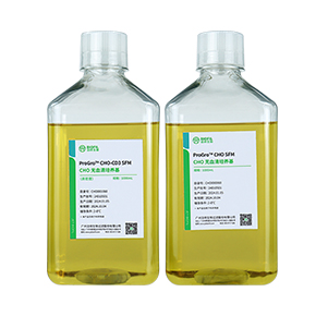 CHO無血清培養基,無血清培養基