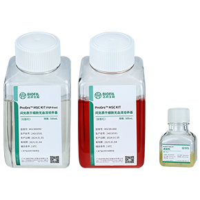 間充質干細胞無血清培養試劑盒,無血清培養基,MSC無血清培養