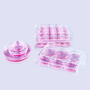 多聚-D-賴氨酸包被表面產品,多聚-D-賴氨酸包被,Coating,poly-D-lysine,PDL