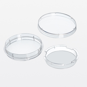 100mm細胞嵌入皿,細胞小室,transwell