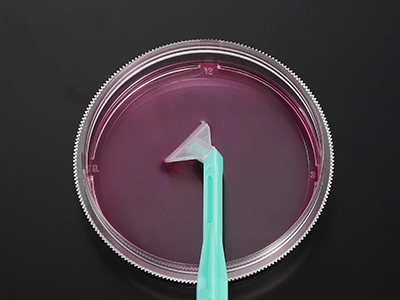 可自由旋轉(zhuǎn)刀片，能刮取各個角落，收獲細(xì)胞