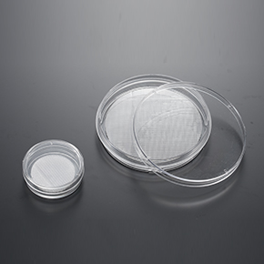 CellSCAFLD?3D細胞培養支架,球狀體和3D細胞培養