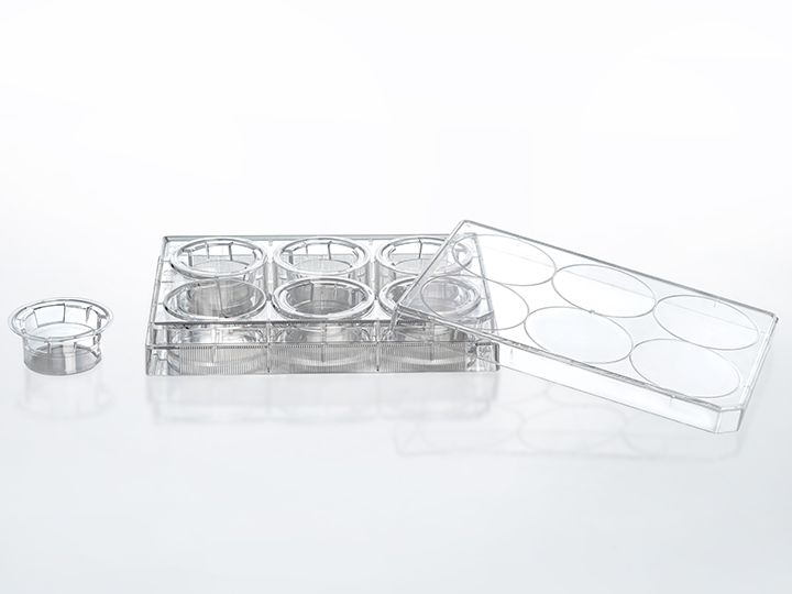 內頁720×540 拷貝2.jpg