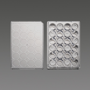 PC膜插入式培養皿,細胞小室,transwell