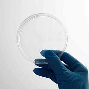 CellDETACH?溫敏細胞培養器,溫度感應細胞培養表面