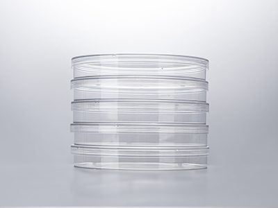 培養皿蓋外邊緣凸起，保證疊放穩定；