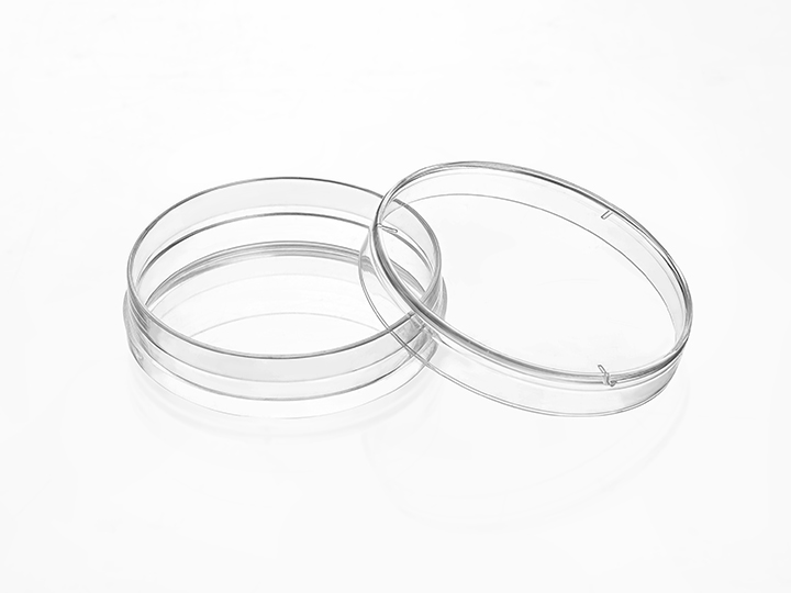 IVF-35MM培養皿.jpg