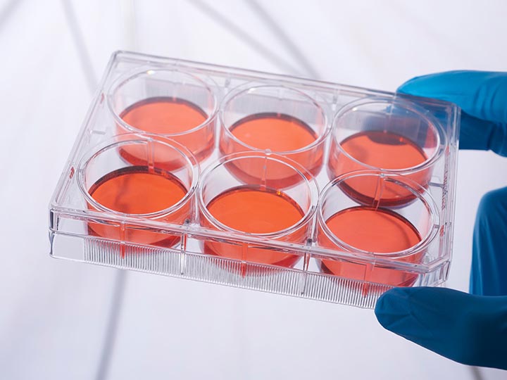 內頁720×540 拷貝3.jpg