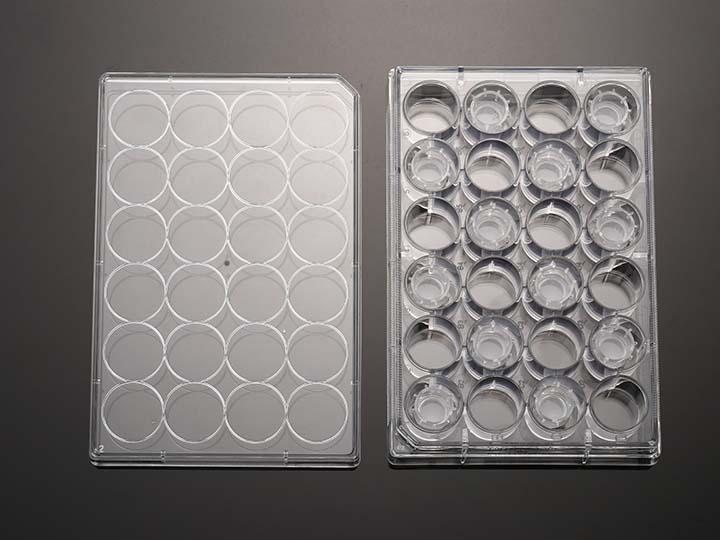 內(nèi)頁720×540 拷貝.jpg