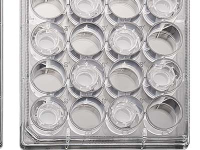 配有清晰的數(shù)字孔標(biāo)識，便于區(qū)分識別，方便記錄