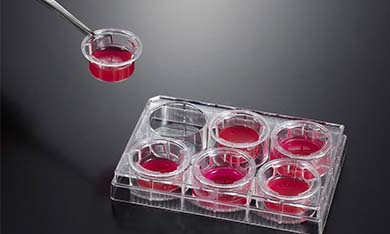 細胞嵌入皿常見問題