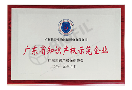 廣東省知識產權示范企業