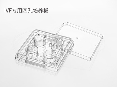 胚胎冷凍/解凍；胚胎體外培養