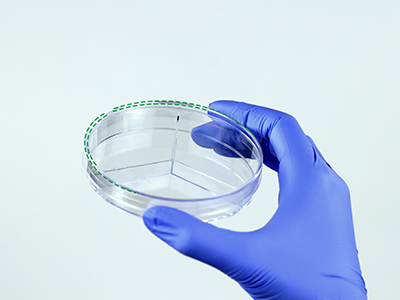 皿蓋邊緣突起設計，有利于培養皿穩定疊放